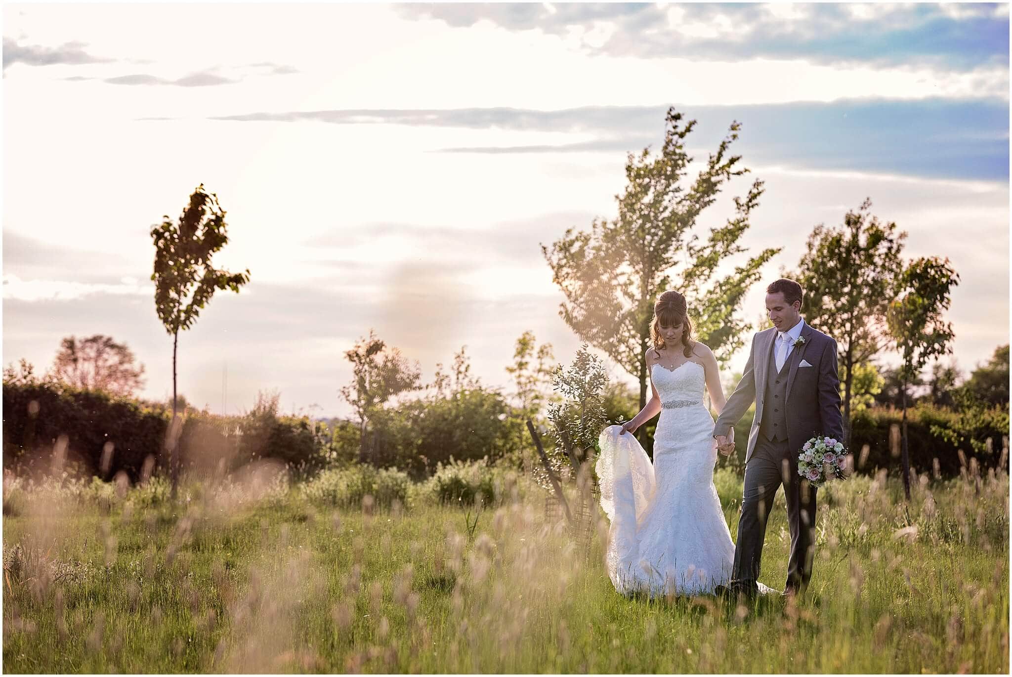 Romantic meadow walk at South Farm